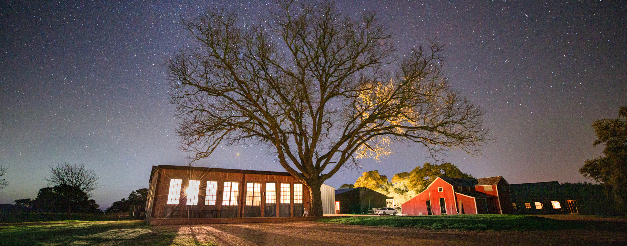 night shot of a remodeled red barn and a large tree in the center