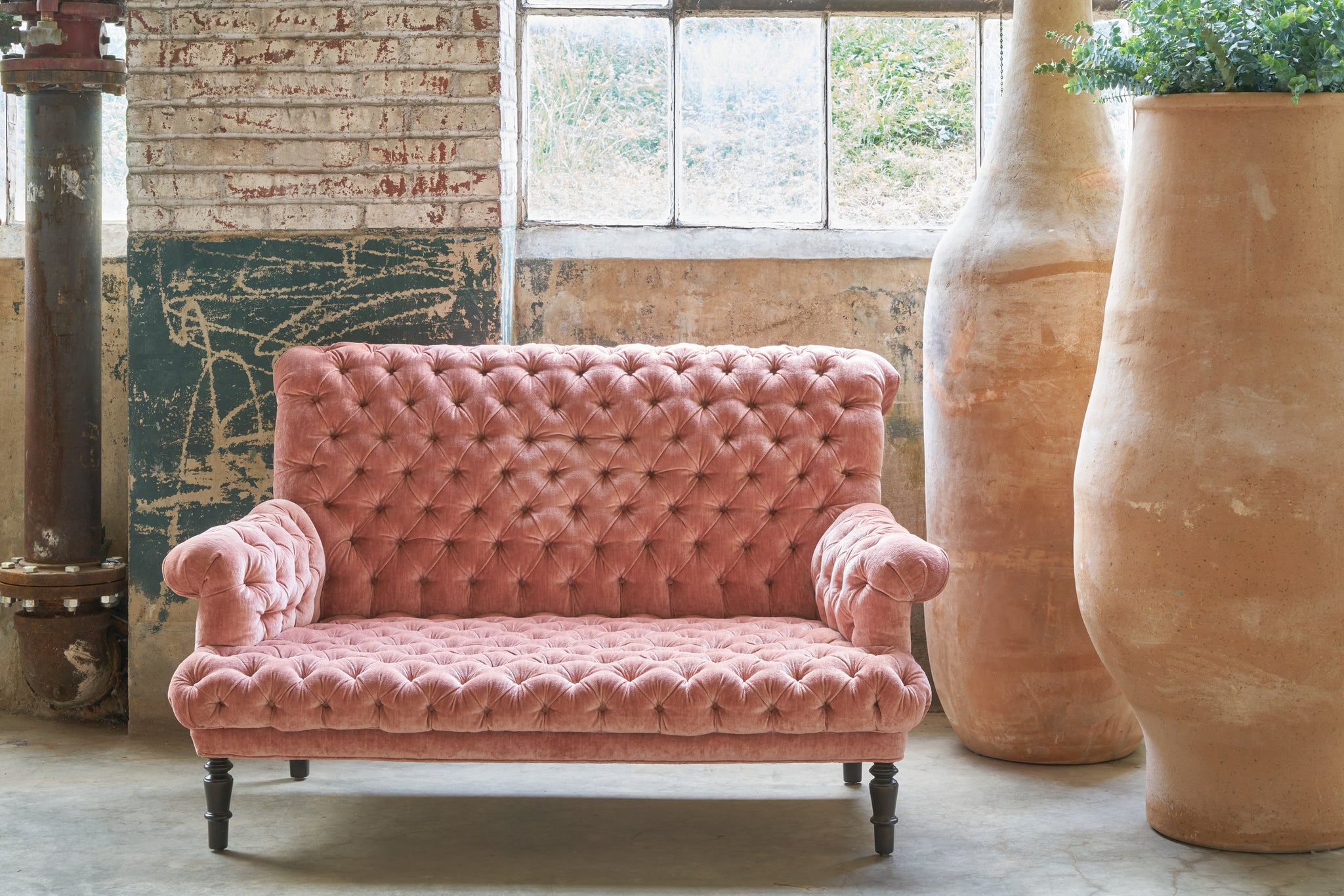  Pink velvet, tufted sofa next to 2 large terracotta pots. Photographed in Velluto Rose. 