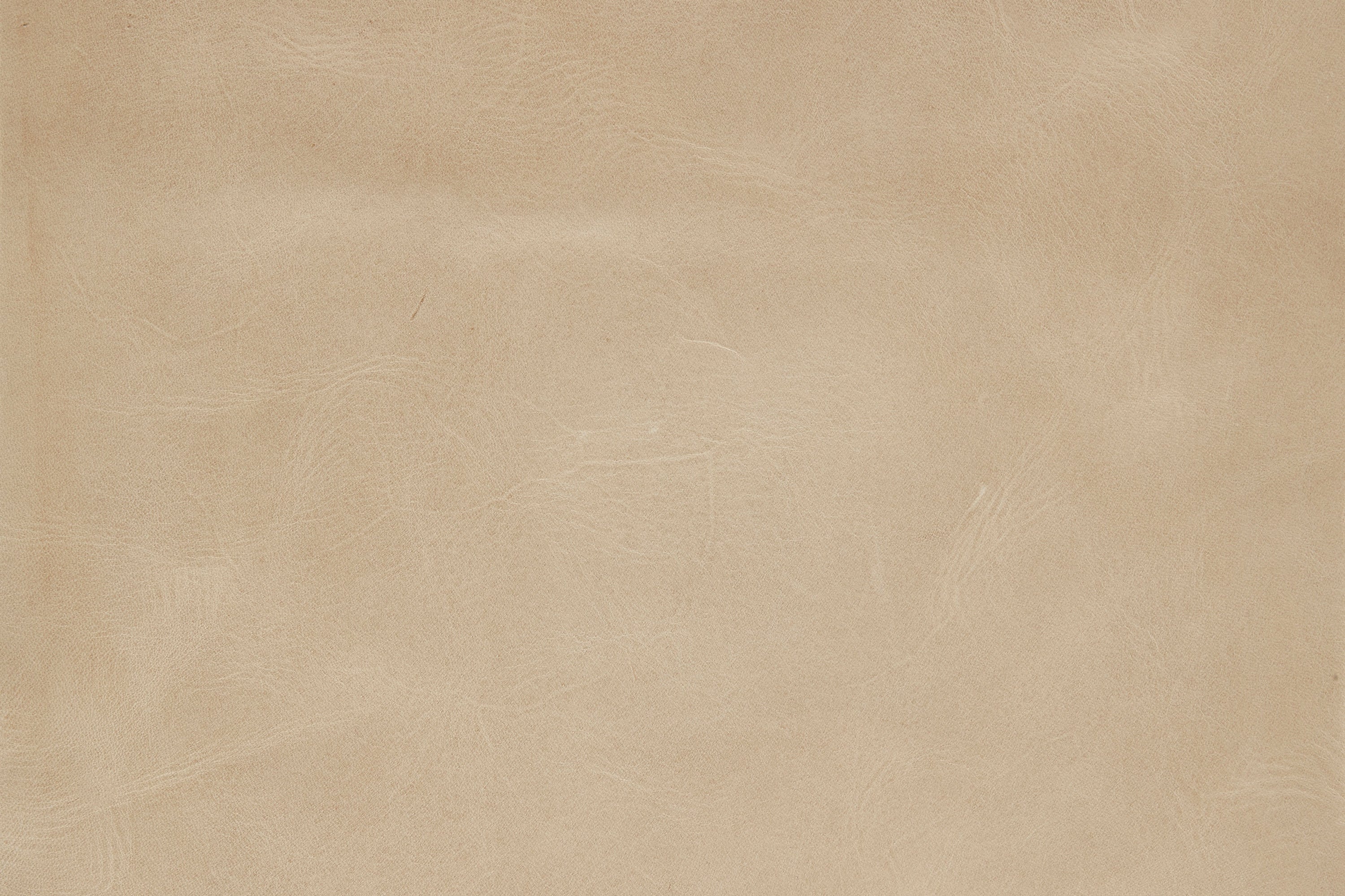 Como Ivory – Cisco Home