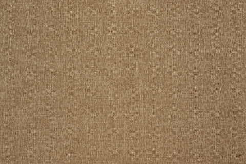 Sadie Fawn (Performance)