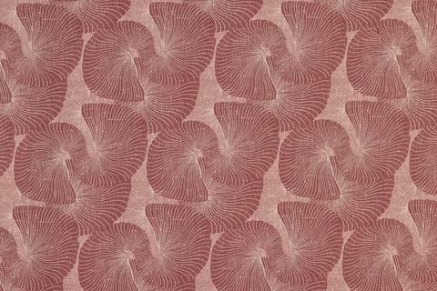 Concha Rosa
