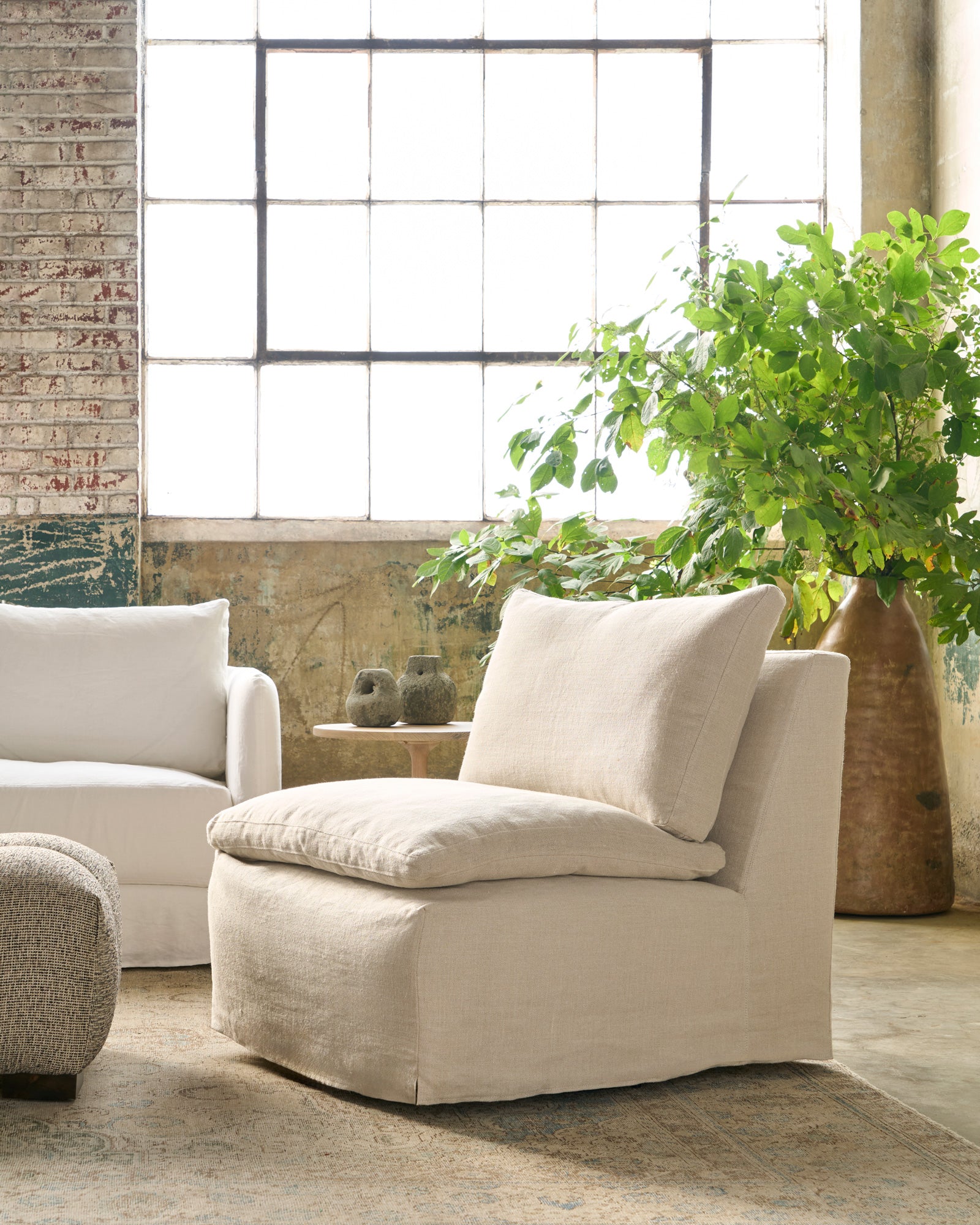  Chair with slipcover, a large pot with foliage behind. Next to a white sofa. Photographed in Noah Bone. 