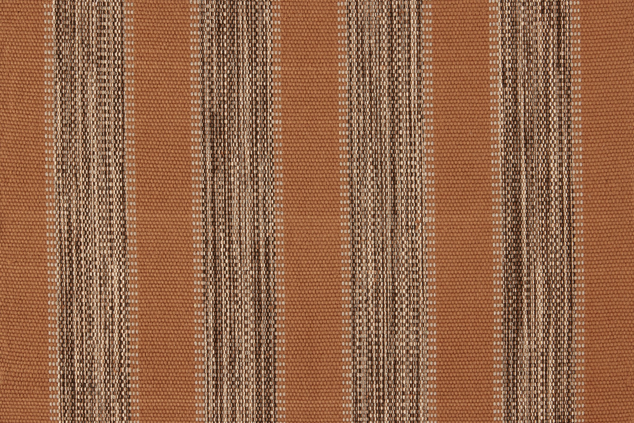  Rayas Paprika 